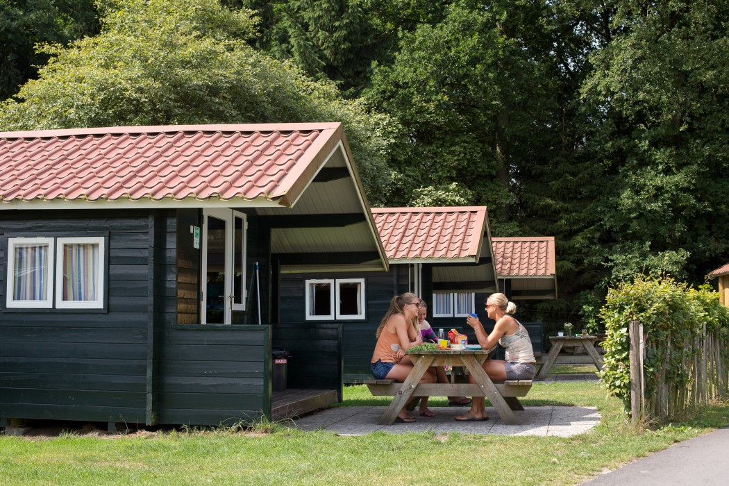 Camping De Noetselerberg