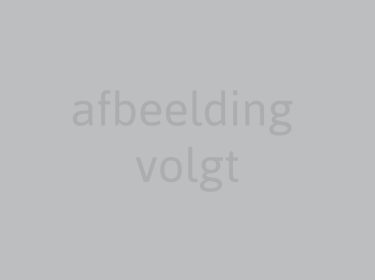 afbeelding-volgt-1-1030x789-2